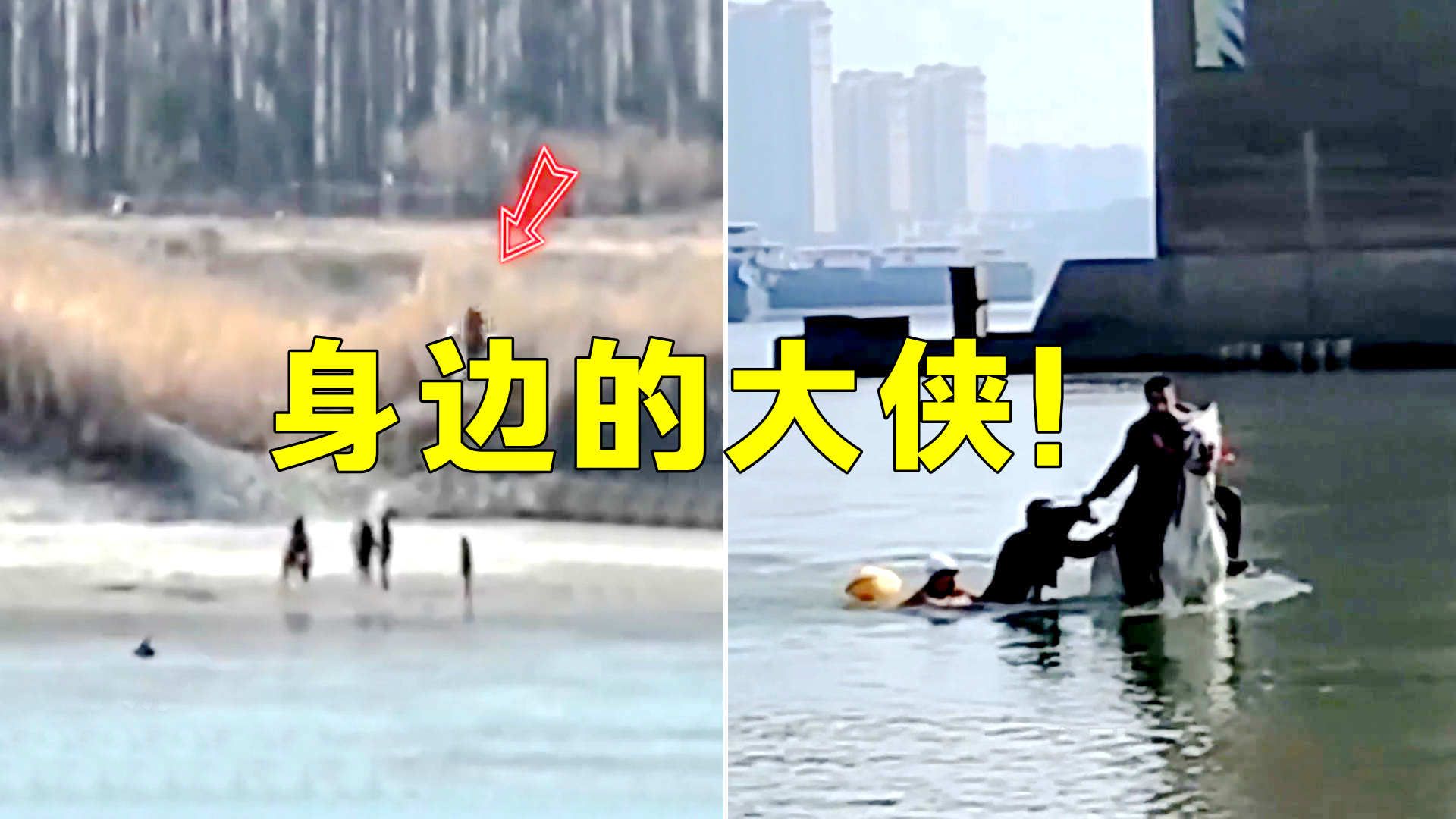 身边的大侠！男子身骑白马冲入水中救人