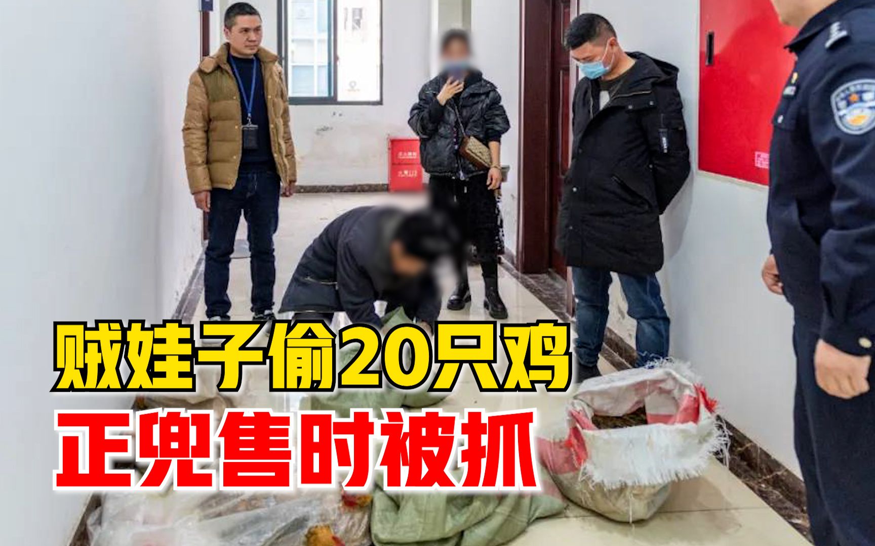 贼娃子偷20只鸡正兜售时被抓：为挣快钱盯上家禽，连续作案10余起