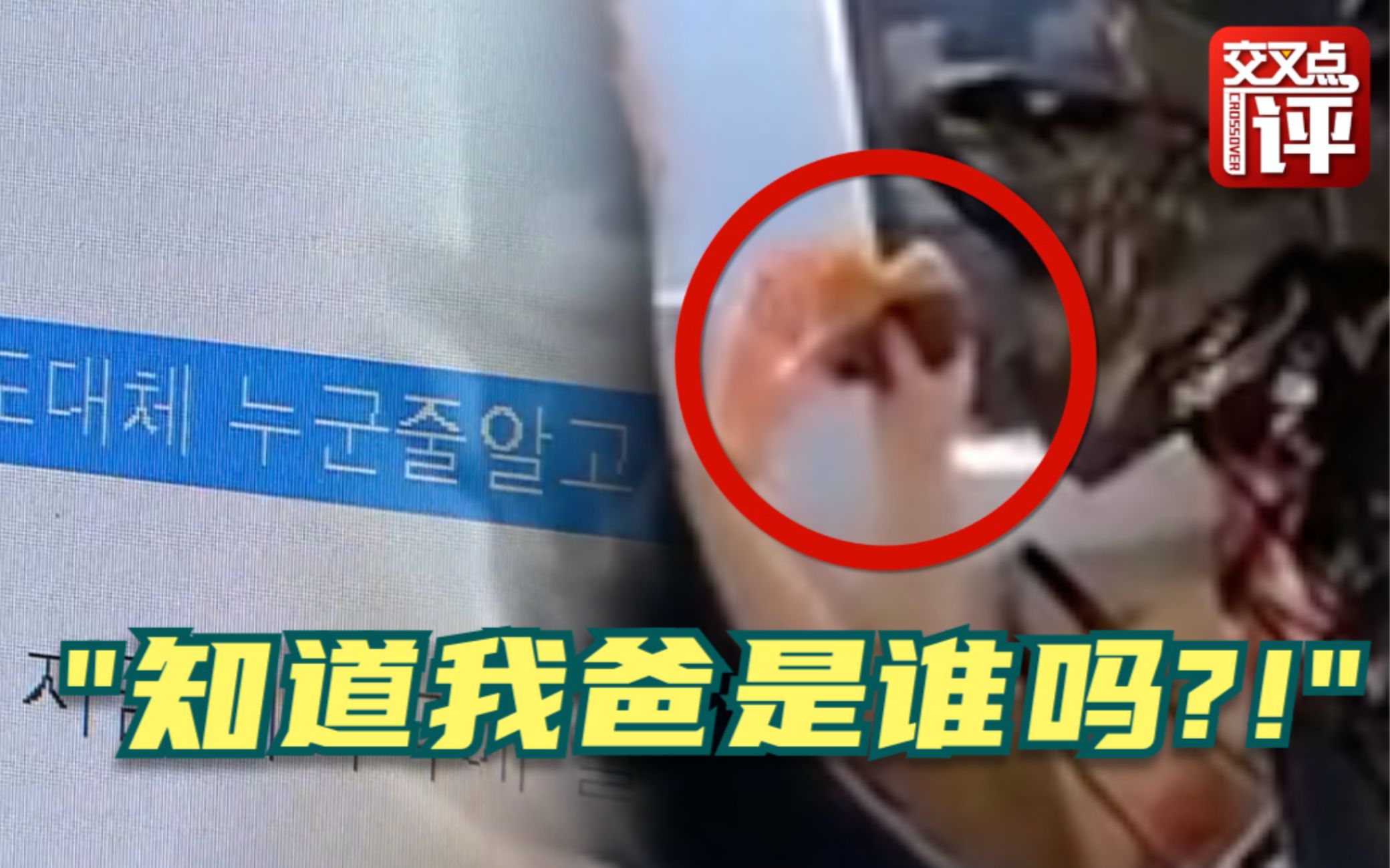 韩国版“我爸是李刚”？全网声讨高铁汉堡女 其父真实身份查到了