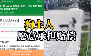 肇事罗威纳犬犬主表示愿意承担相应赔偿责任，2岁女童家属网上发起200万筹款