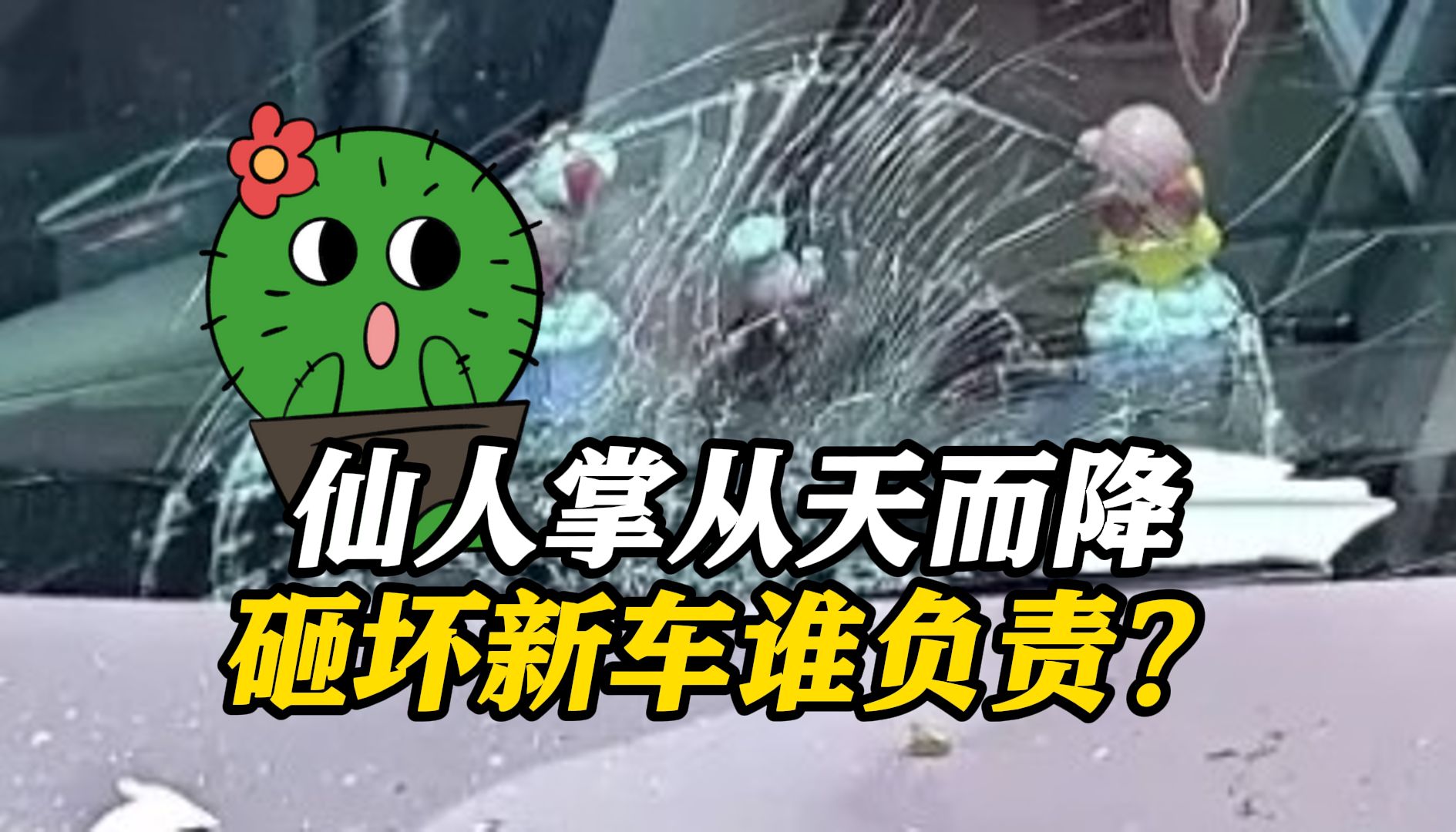 仙人掌从天而降把新车砸成这样……沪一女子急煞: 谁来买单?
