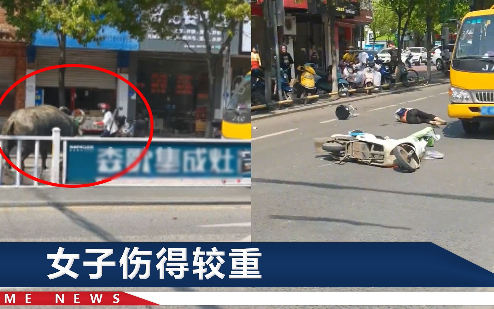 惊险！江西一疯牛街边攻击红头盔女子，现场民警掏出了一把枪