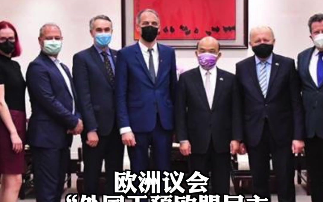欧洲议会7议员窜访台湾 政治小丑改变不了历史大势