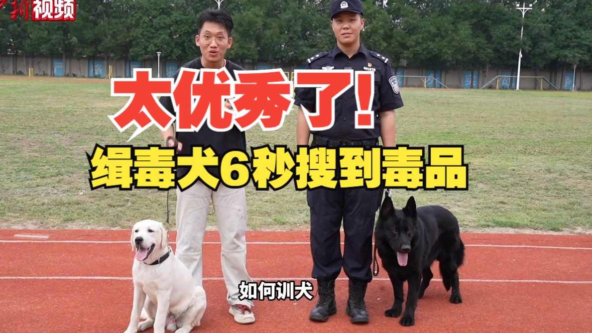太优秀了！缉毒犬6秒搜到5层包装的毒品