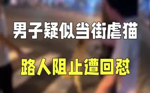 男子疑似当街虐猫 路人阻止遭回怼：猫的命不值