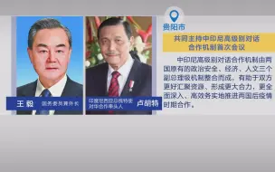 疫情下中印尼关系逆势提升 双方高级别对话合作机制首会引关注