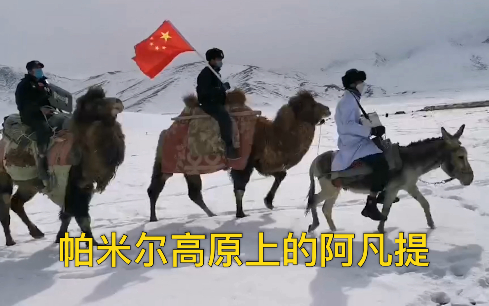 我有一头小毛驴 我用来送物资