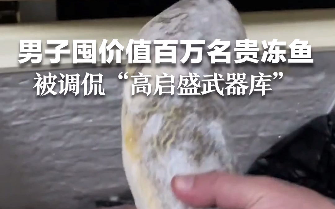 男子囤价值百万名贵冻鱼 ，被调侃“高启盛武器库”。