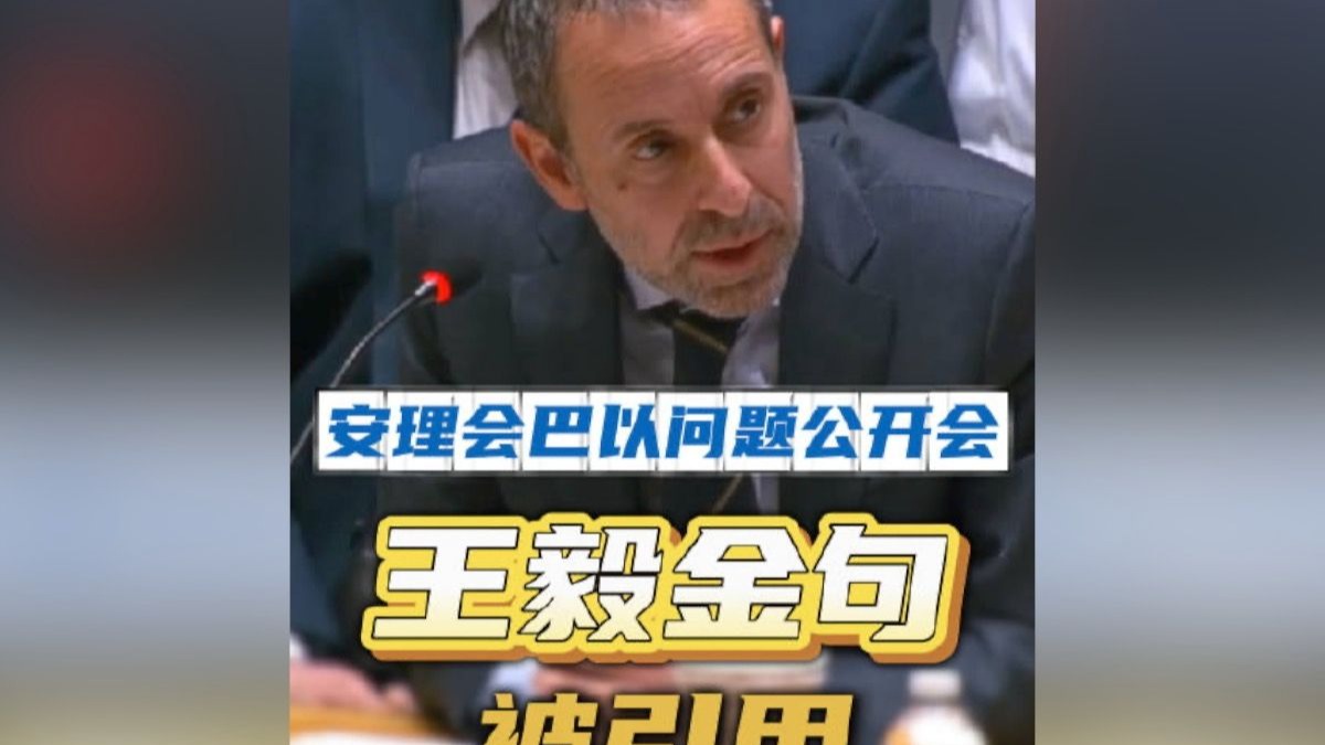 巴以问题公开会王毅金句被引用