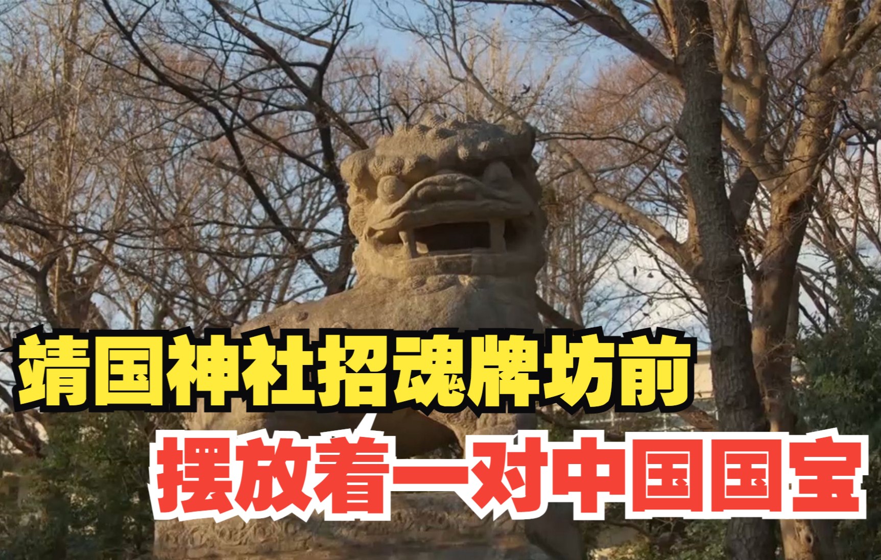 可恨！靖国神社招魂牌坊前摆放着一对中国国宝