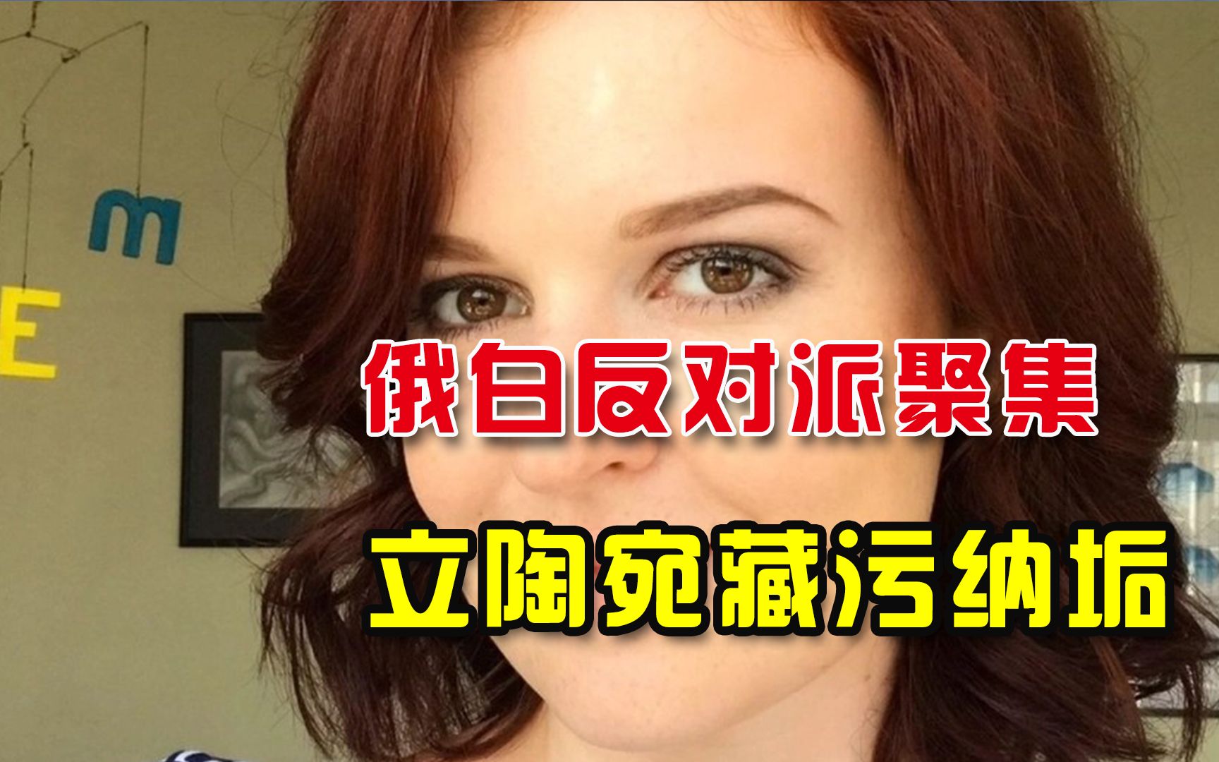 立陶宛成藏污纳垢窝点？俄白反对派纷纷来投，纳瓦利内手下要搞事