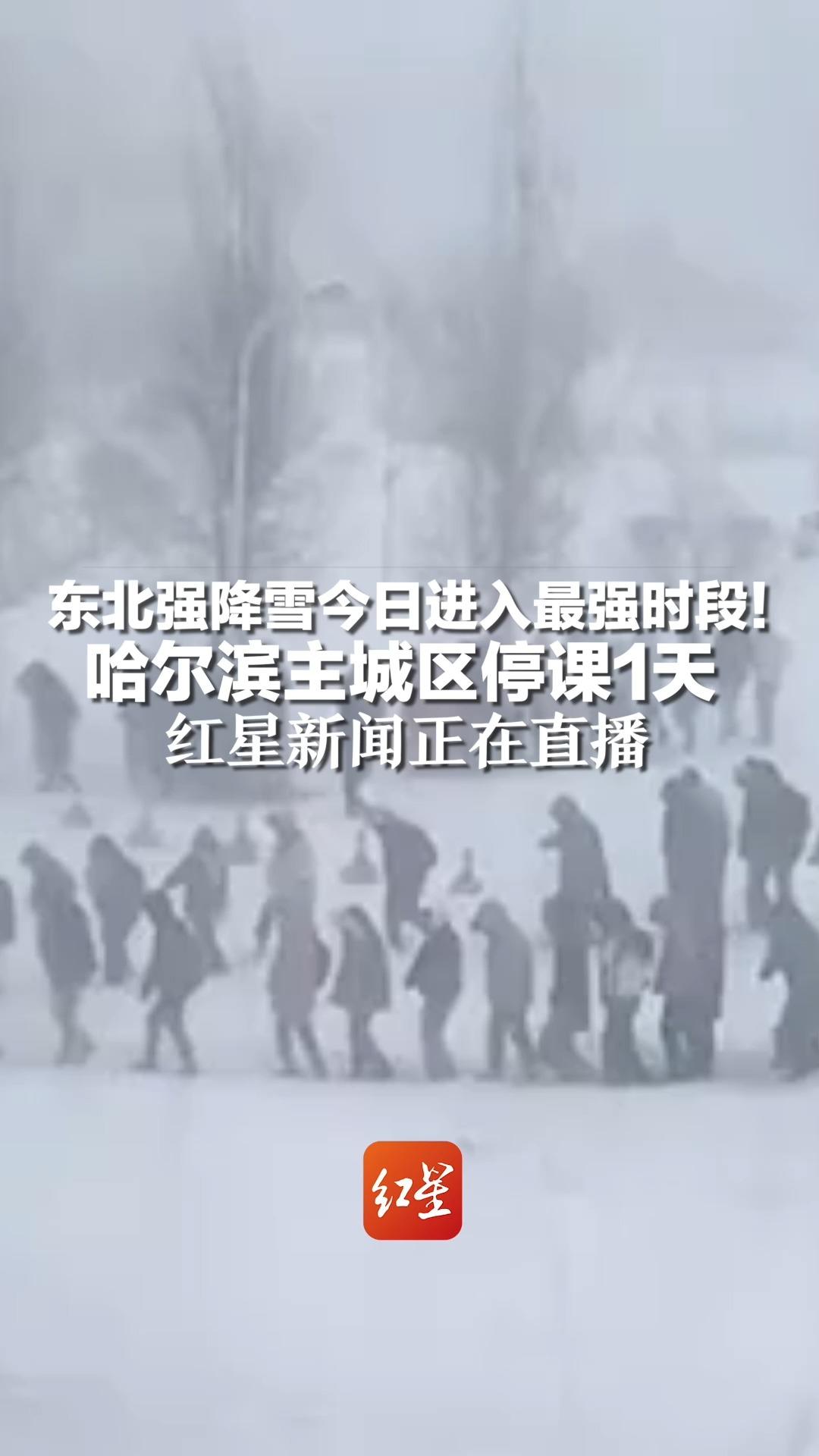 东北强降雪今日进入最强时段！哈尔滨主城区停课1天，红星新闻正在直播