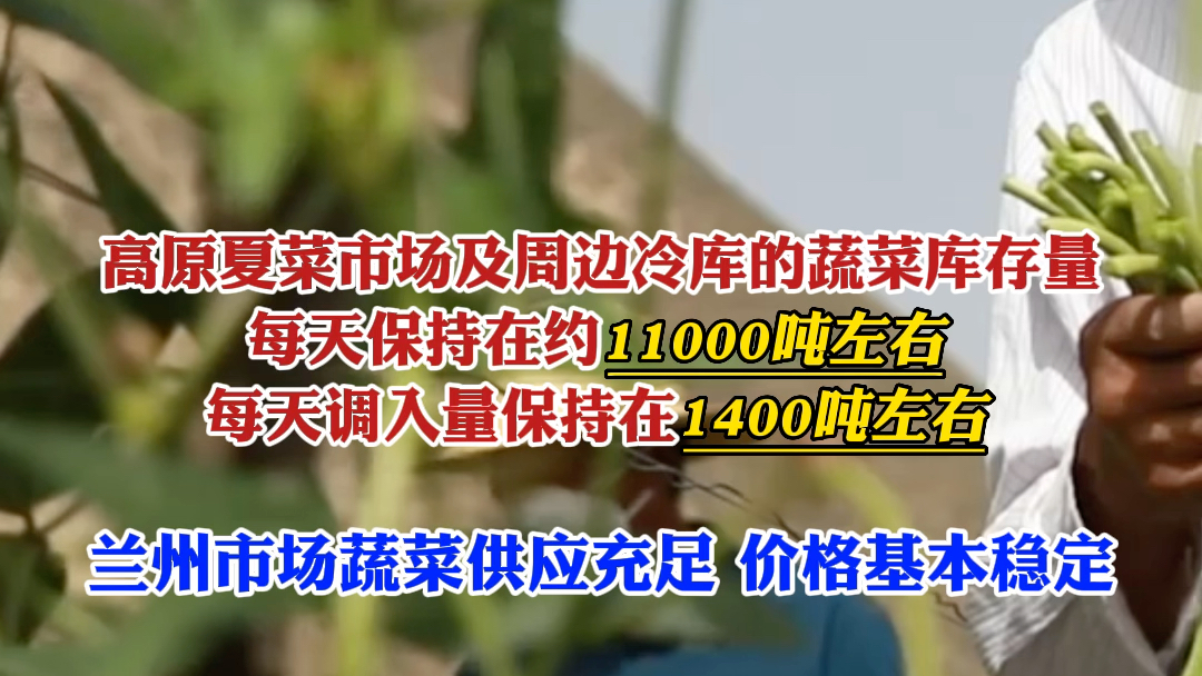 蔬菜上市旺季，兰州市蔬菜在田面积40万亩左右，预计产量为80万吨左右，每天上市量约为8000至10000吨。