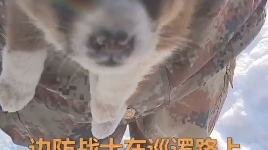 敲可爱！边防战士巡逻路上捡到小奶狗