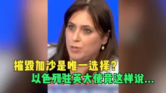 摧毁加沙是唯一选择？以色列大使坚称加沙各处都可通往哈马斯地下基地