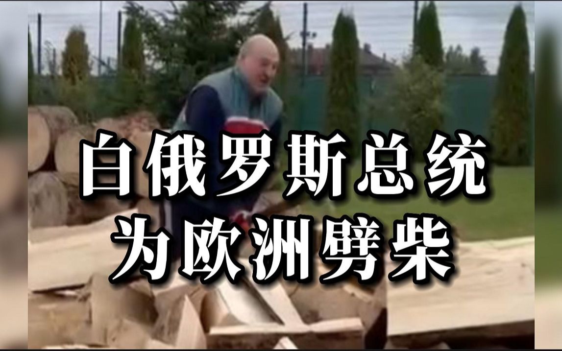 白俄罗斯总统为欧洲劈柴：不能让欧洲受冻
