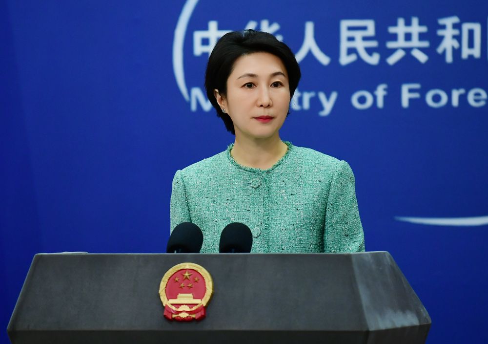 金砖是国际事务中一支积极、稳定、向善的力量
