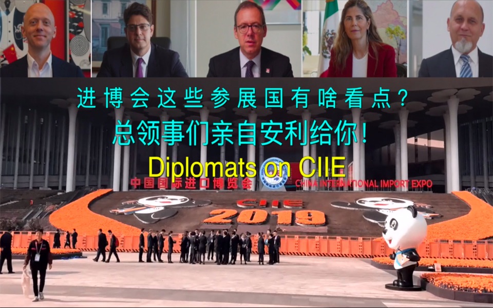 这届进博会这些参展国有啥看点？总领事们亲自安利给你！
