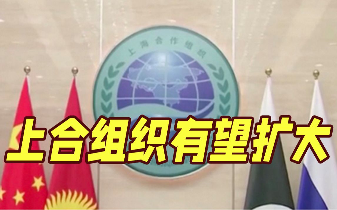 “朋友圈”有望扩大！上合领导人撒马尔罕再聚首