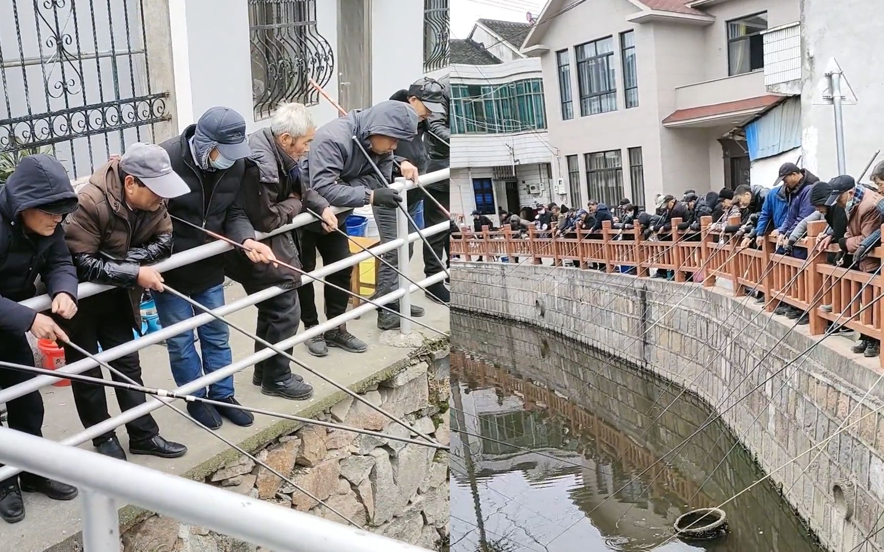 壮观！浙江一村庄河道不宽 两岸架满密密麻麻钓竿