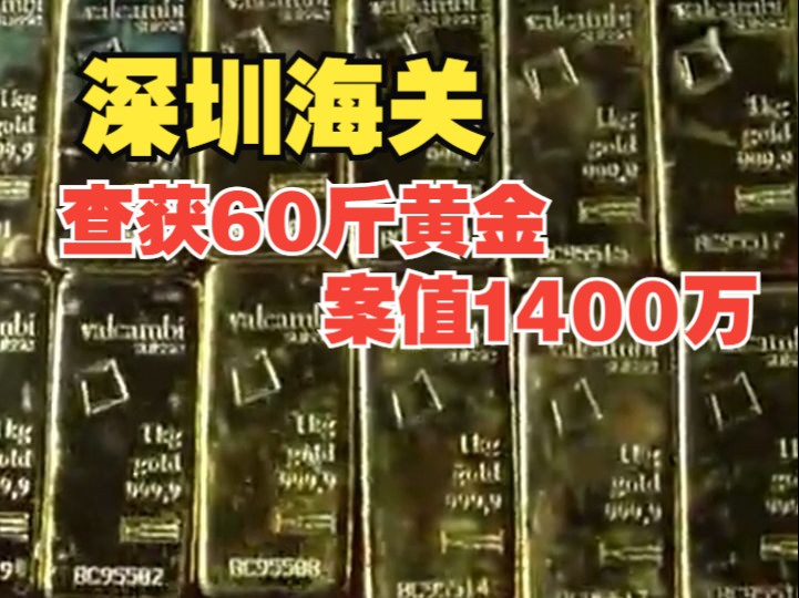 深圳海关查获60斤黄金 案值1400万