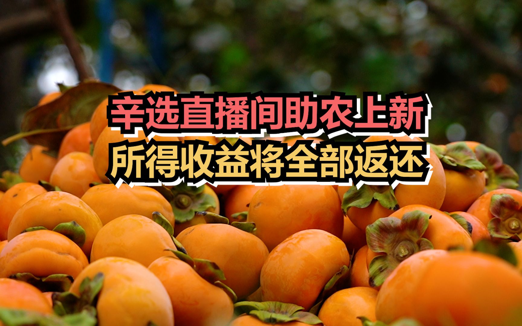 辛选直播间助农上新，所得收益将全部返还
