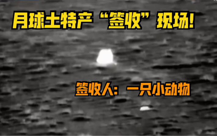 嫦娥五号挖土归来，却被只小动物抢镜！