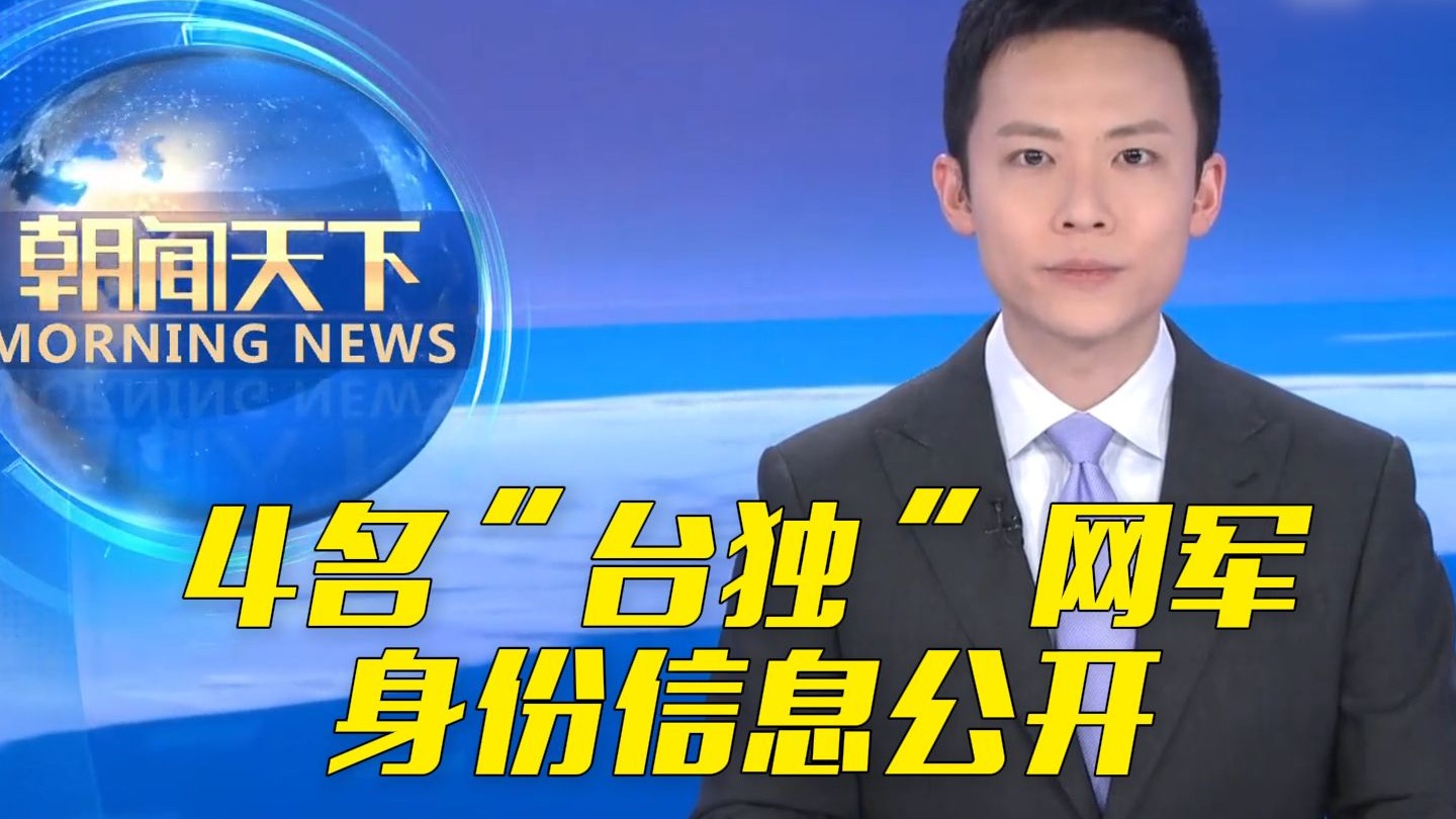 国家安全部公开4名“台独”网军身份信息
