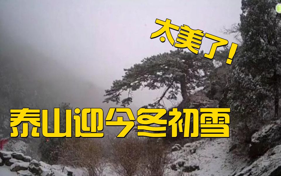 泰山迎今冬初雪 太美了！戳视频感受！