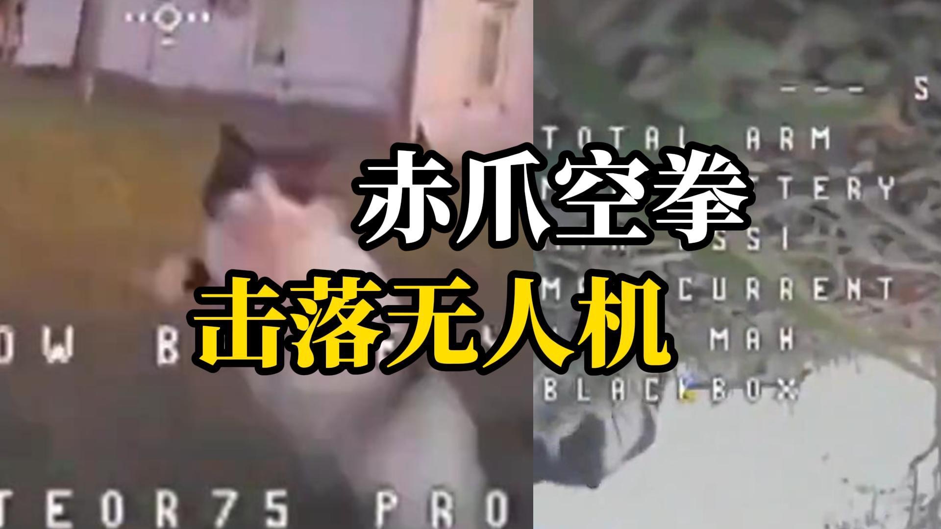 乌克兰无人机低空飞行，遭猫咪一爪子“击落”，坠落后肇事猫还近距离观察