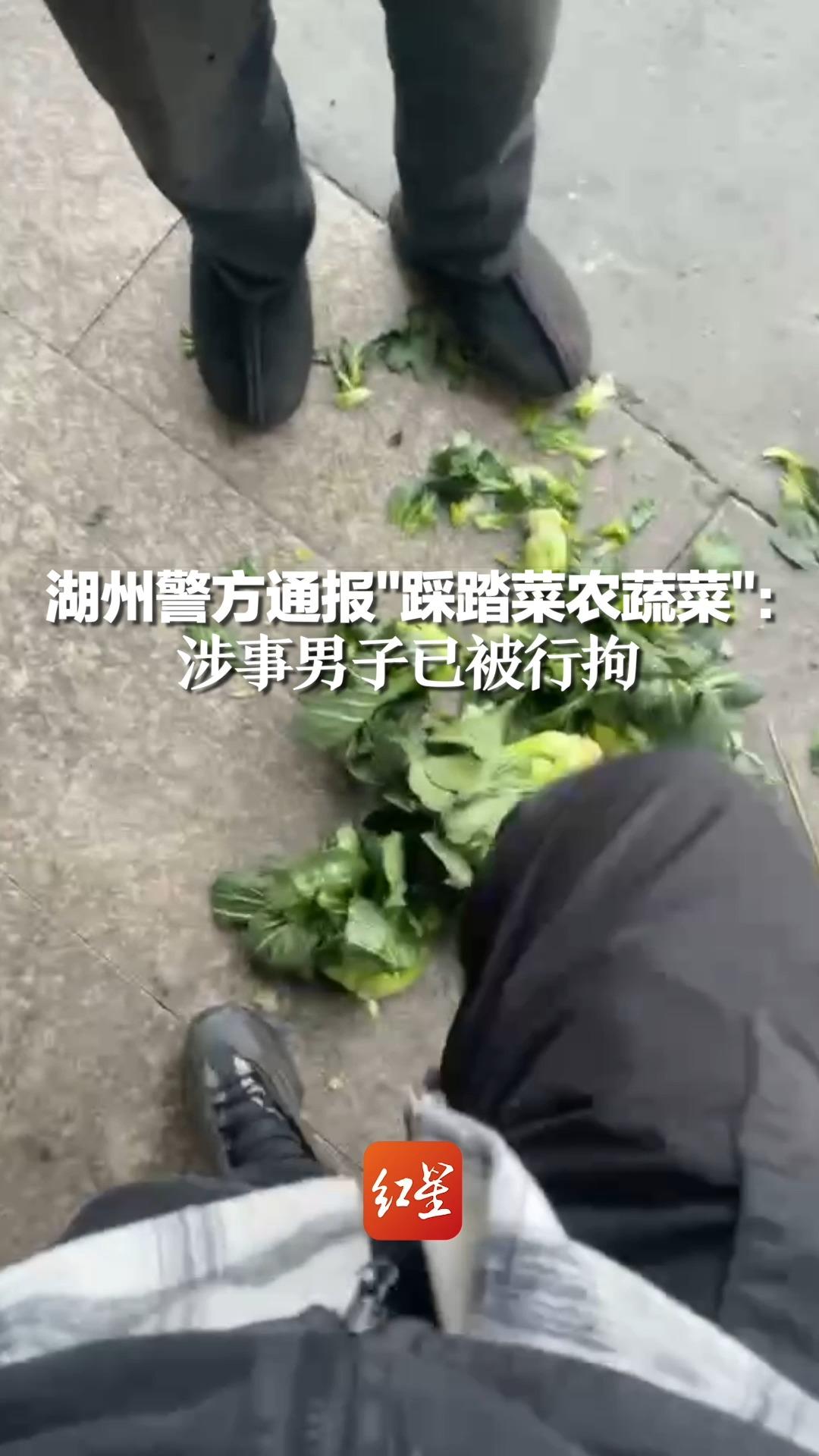 湖州警方通报"踩踏菜农蔬菜"：涉事男子已被行拘