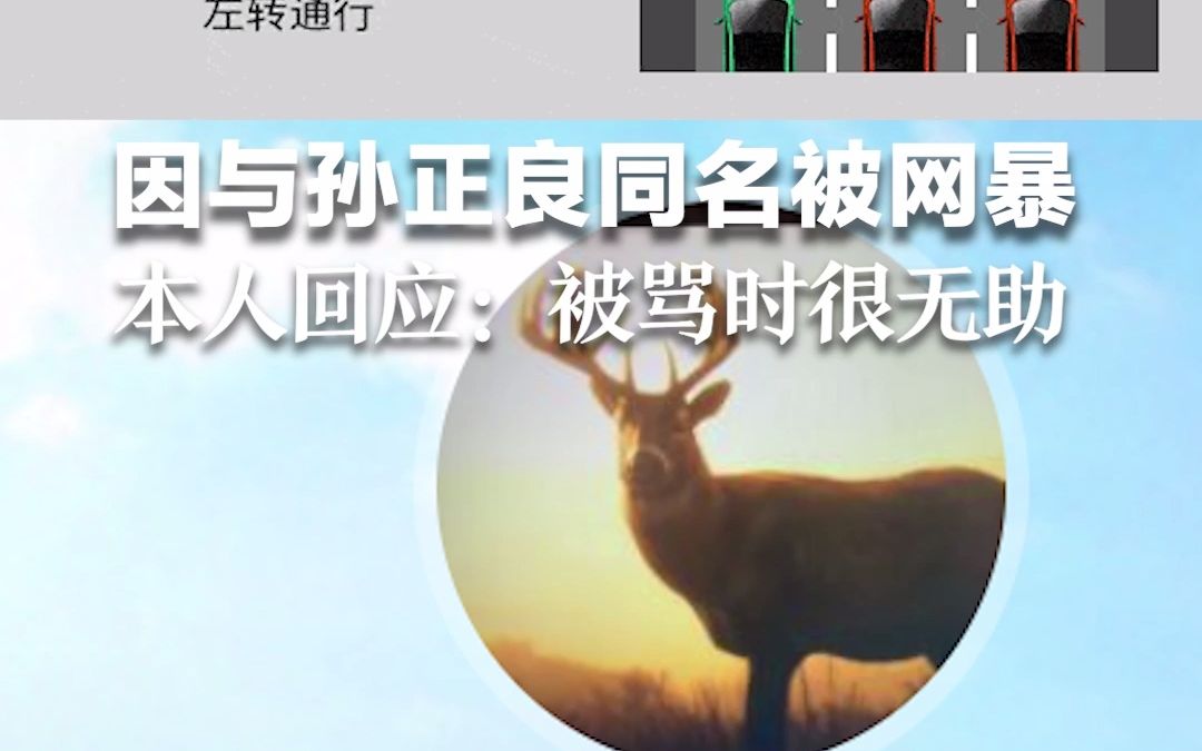 因与网传“新国标红绿灯设计者孙正良”同名被网暴，当事人回应：被骂时很无助，呼吁网友理性。