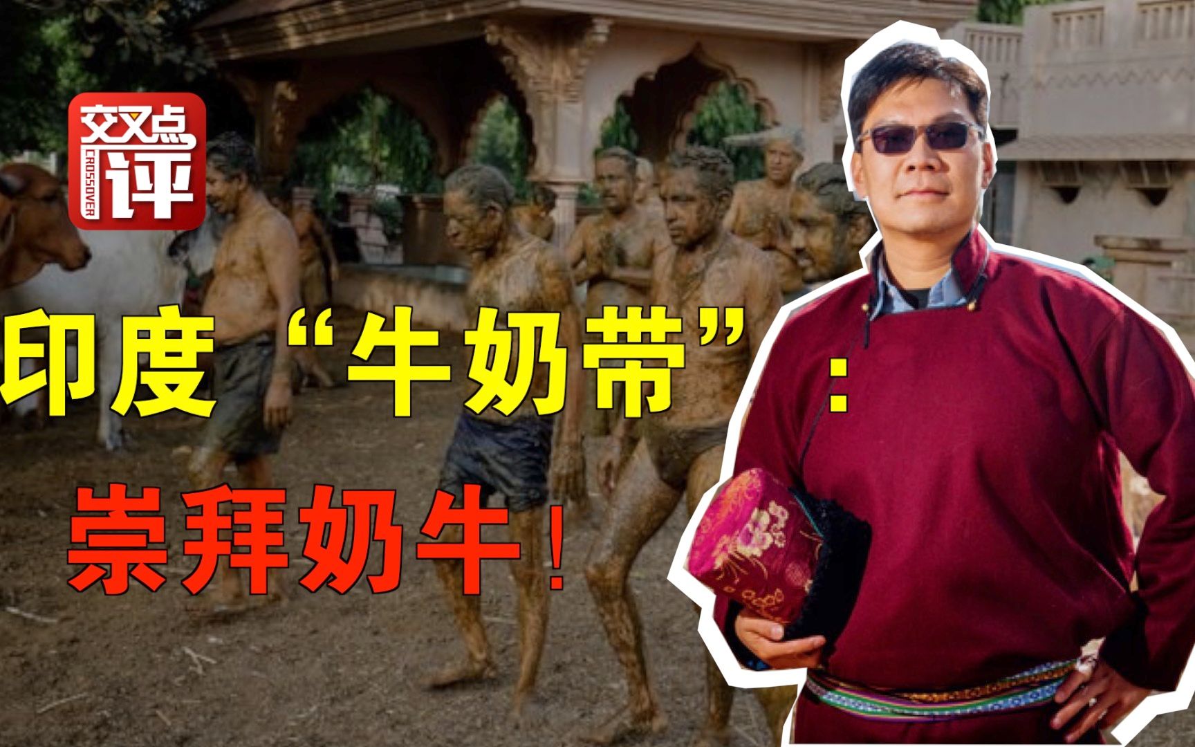 喝牛尿防新冠？揭秘：印度“牛奶带”真这么做！