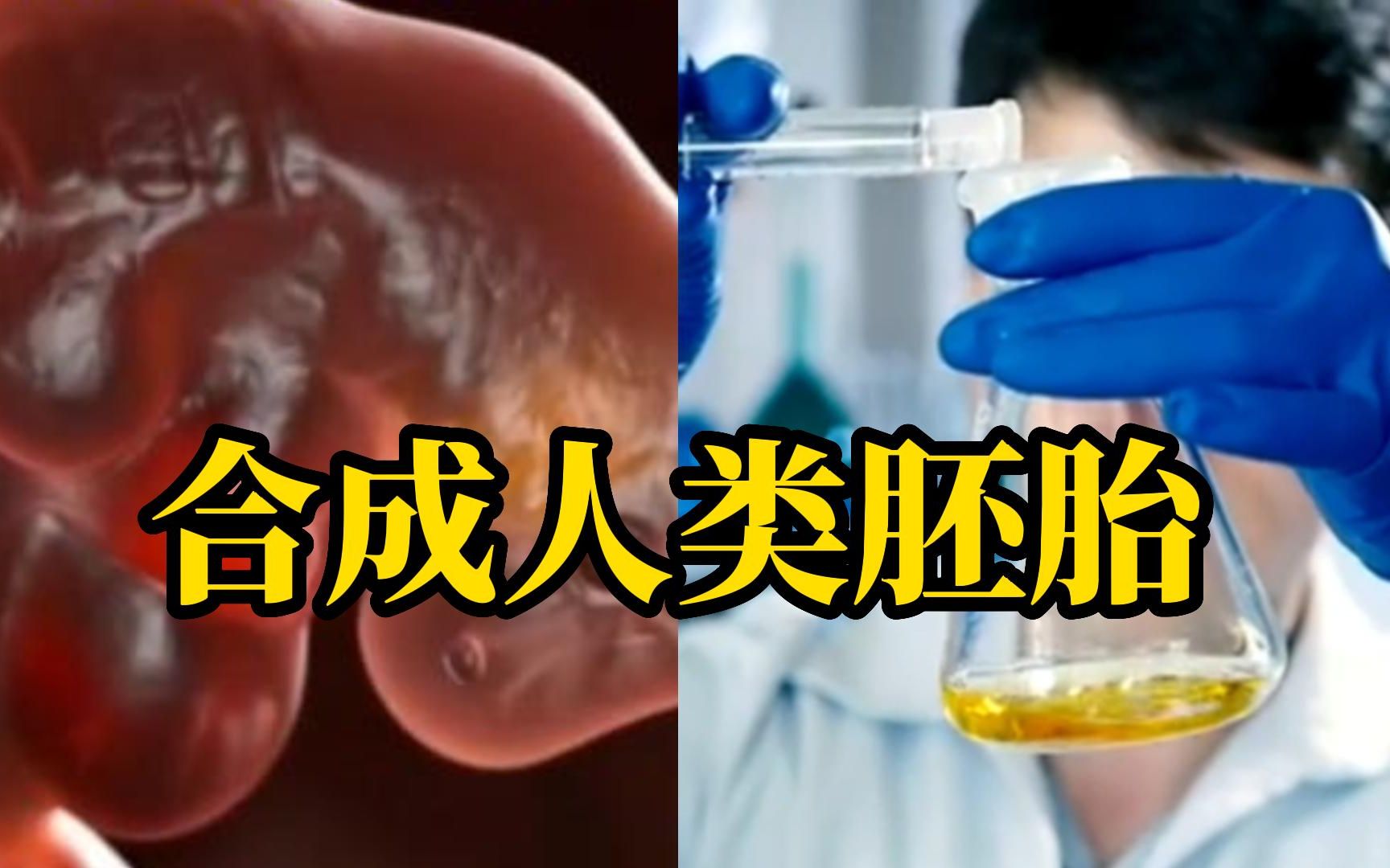 无需卵子或精子，科学家用干细胞造出合成人类胚胎，或引发严重道德及法律问题