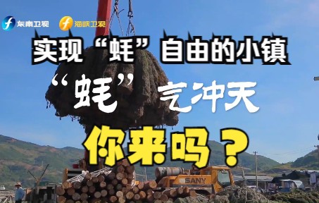【渔港走透透】渔港寻访者侃哥带您探寻 一个“蚝”气冲天的渔港