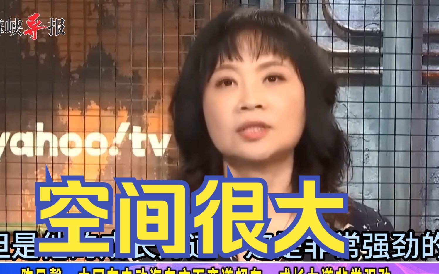 陈凤馨：中国在电动汽车方面弯道超车，成长力道非常强劲