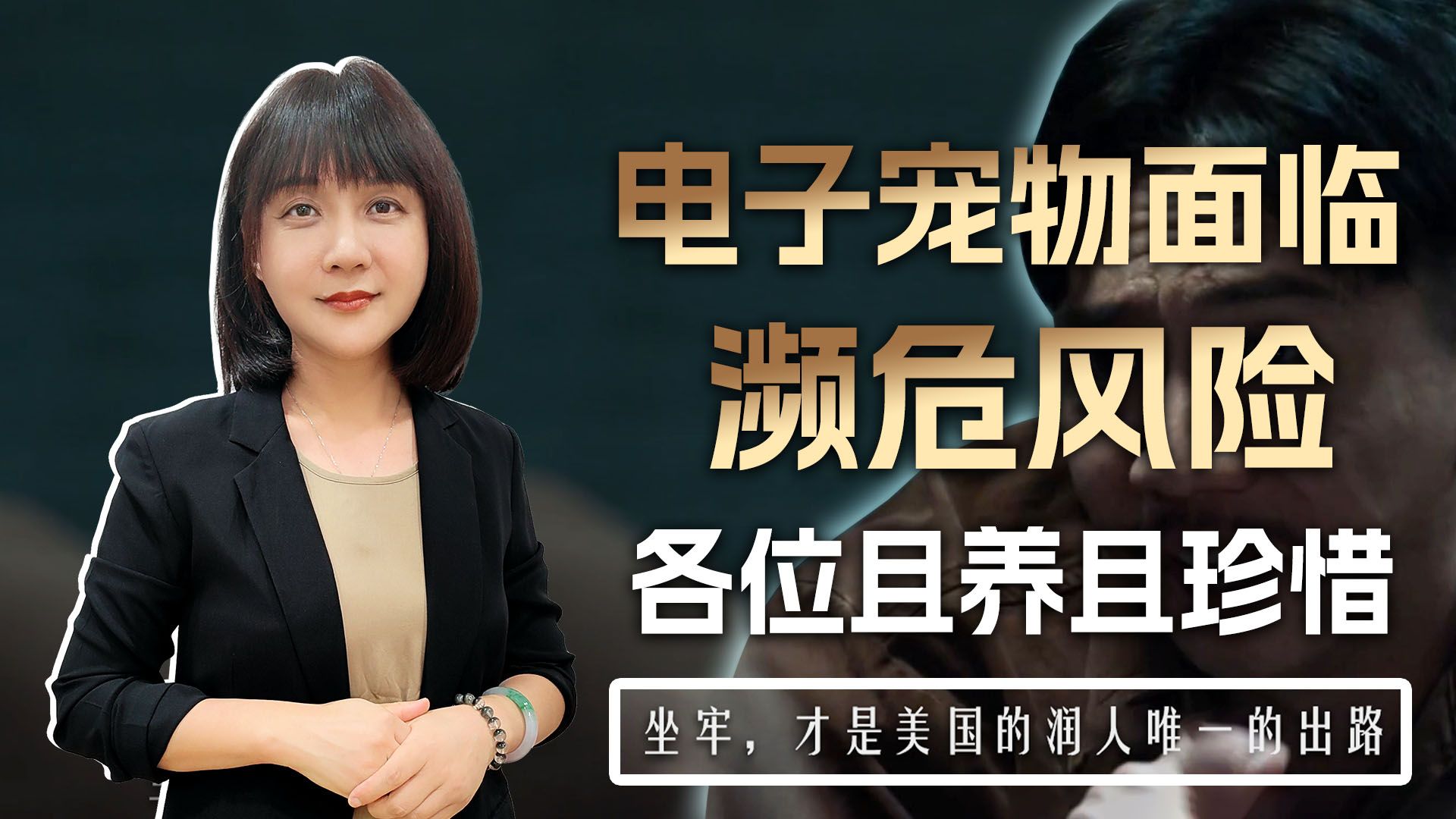 丁议员要进监狱捡肥皂了，电子宠物面临濒危风险，各位且养且珍惜