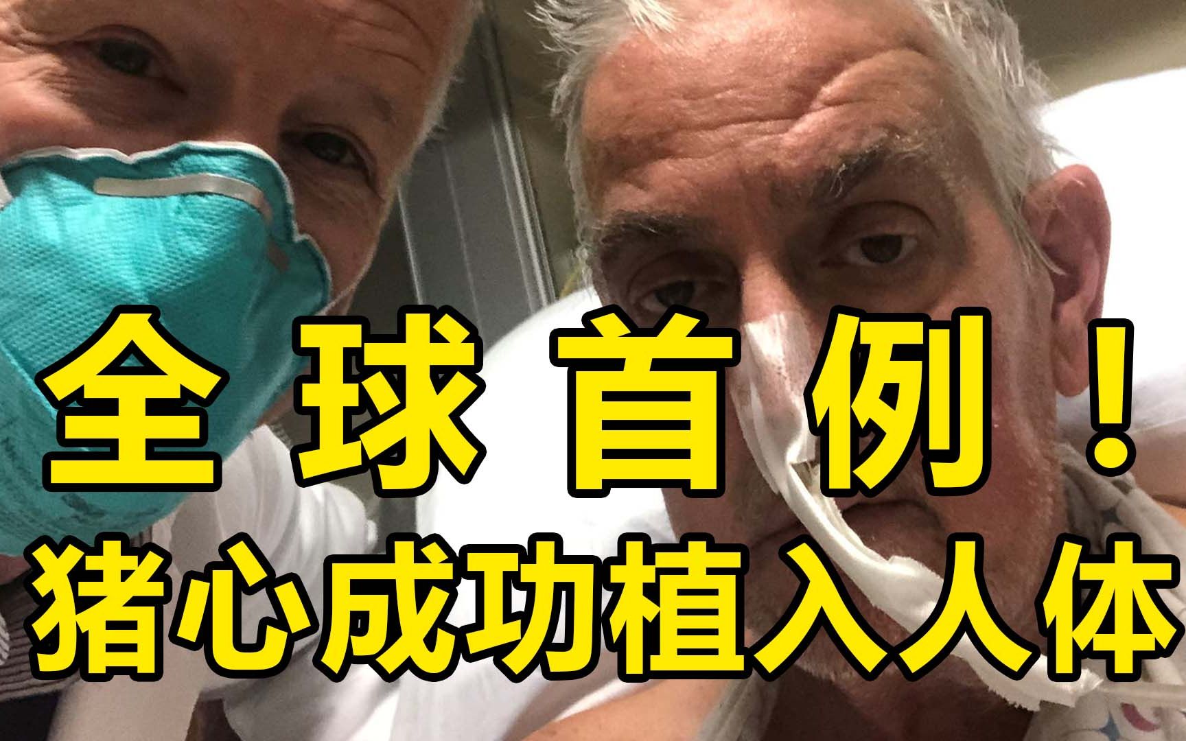 美国心脏病患者接受猪心移植，成全球首例