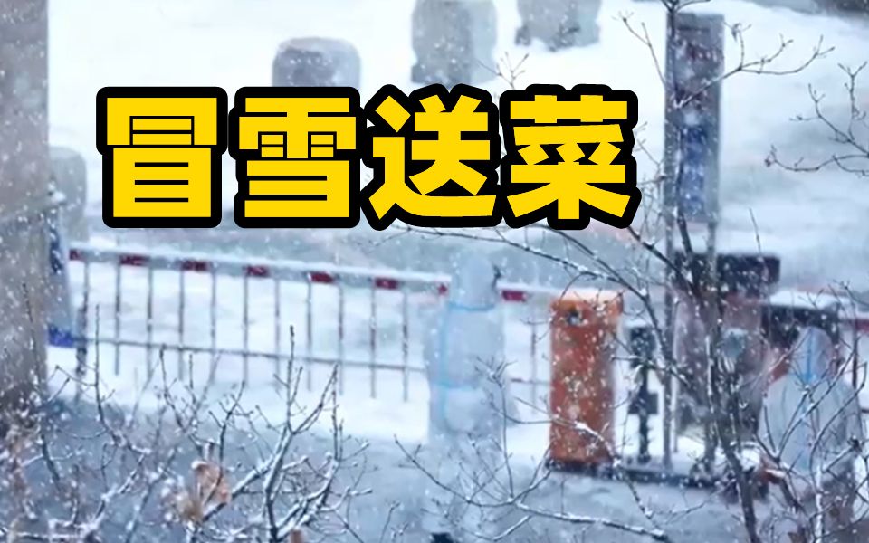 吉林超市员工组私家车队冒雪送菜