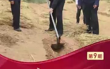 “你们就是新时代愚公” 不负总书记嘱托 让绿色奇迹代代传下去