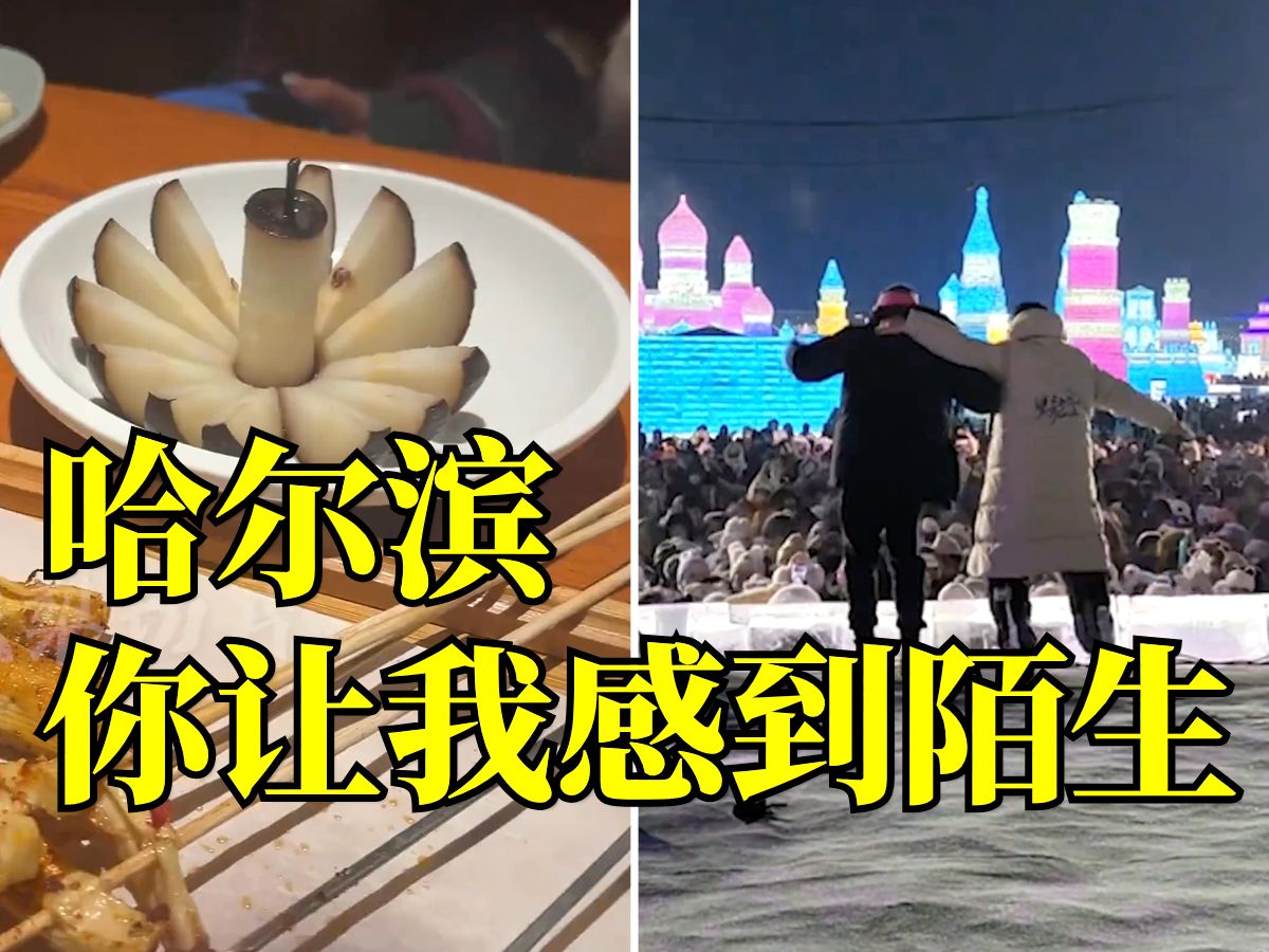 掏心掏肺掏家底，哈尔滨“整活”主打一个真诚