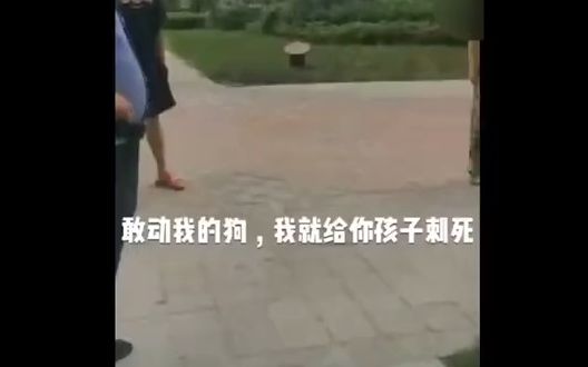 “你孩子没我狗值钱”，安徽一遛狗女子自称老板辱骂市民，公司：解雇