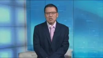 刘和平：入常绝非易事 德国恐难心想事成