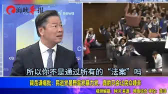 赖岳谦痛批：民进党是野蛮党暴力党，真的是会让民众唾弃