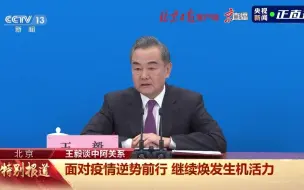 王毅谈中阿关系：面对疫情逆势前行 继续焕发生机活力