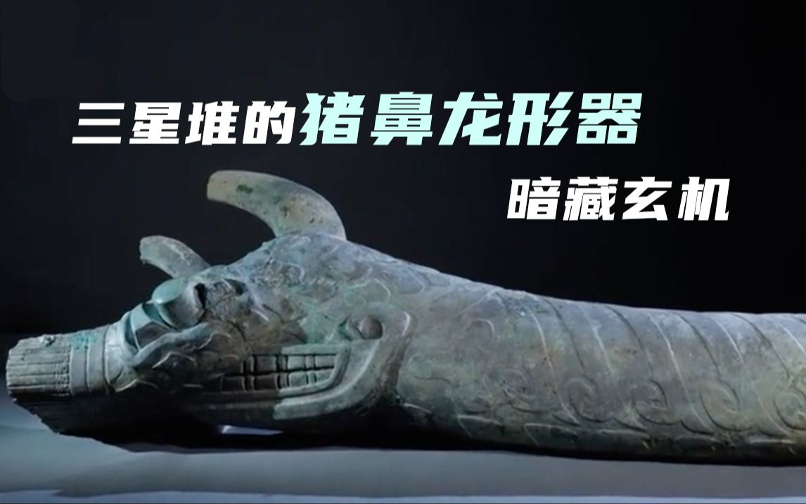 龙和猪混搭的三星堆青铜器