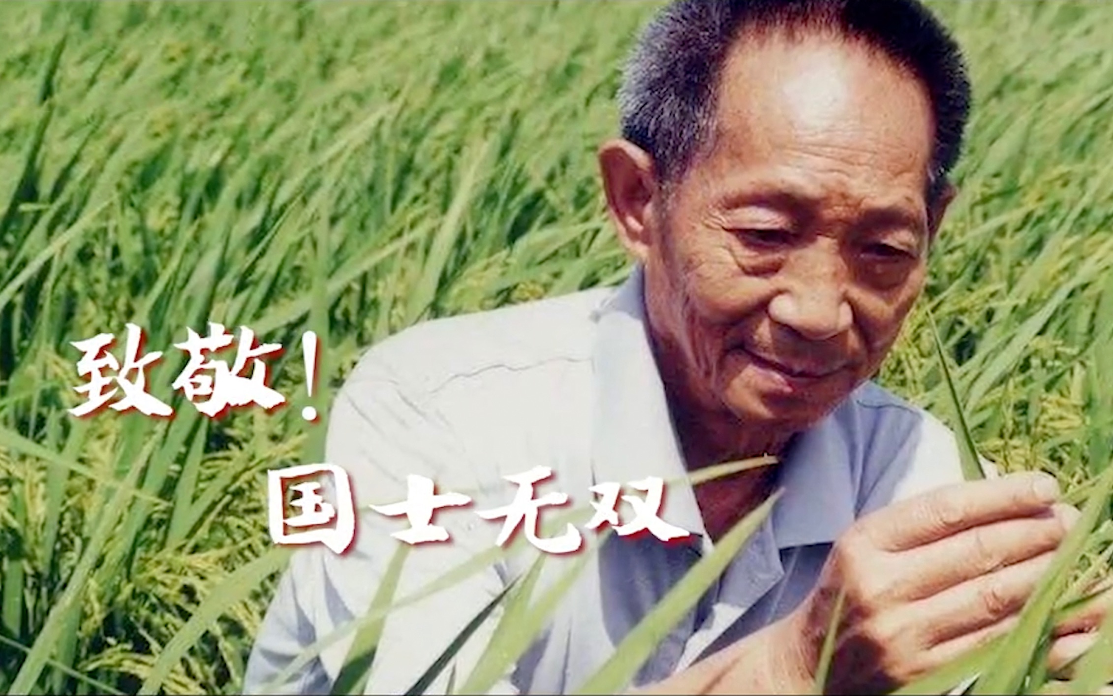 国士无双！袁隆平有两个粮食梦想