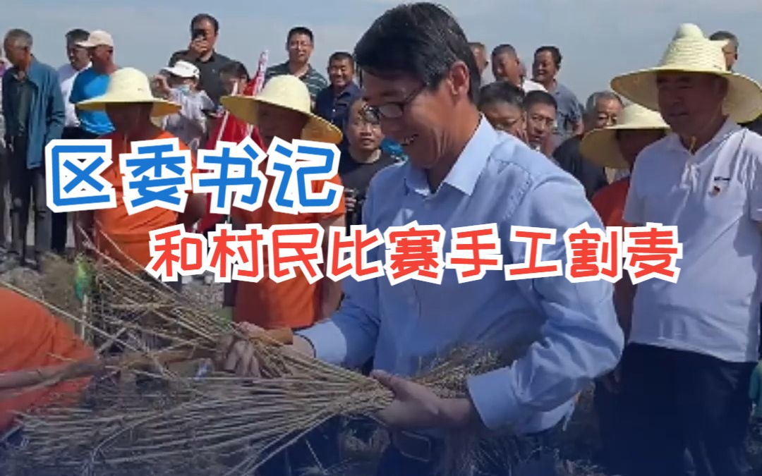 内蒙一区委书记与村民比赛手工割麦 网友：打结手法太娴熟了