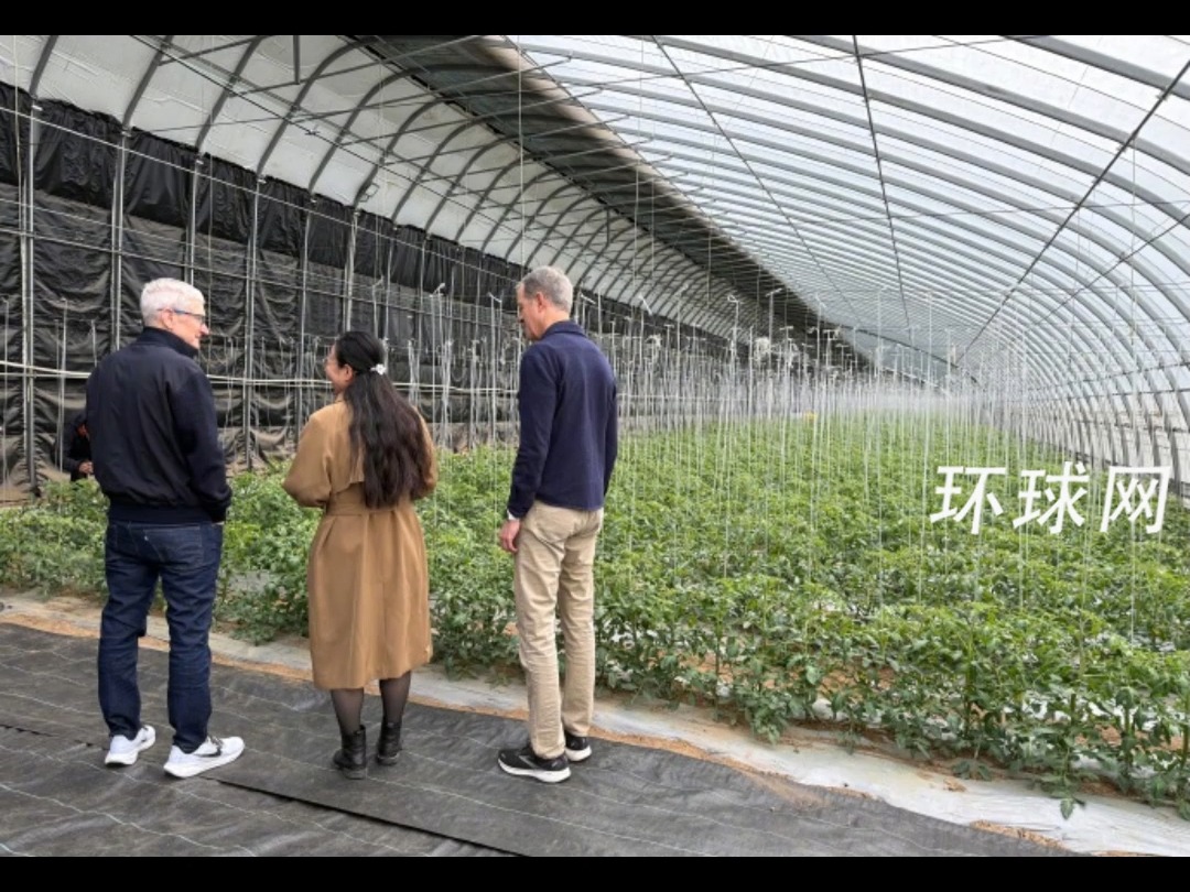 苹果CEO库克突访北京，探访有机农场