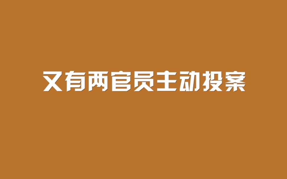 又有两官员主动投案